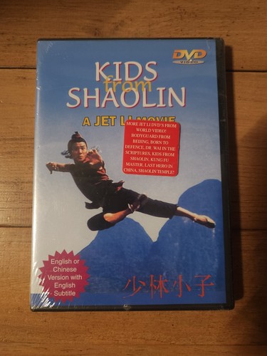 Kids from shaolin jet - shaolin,